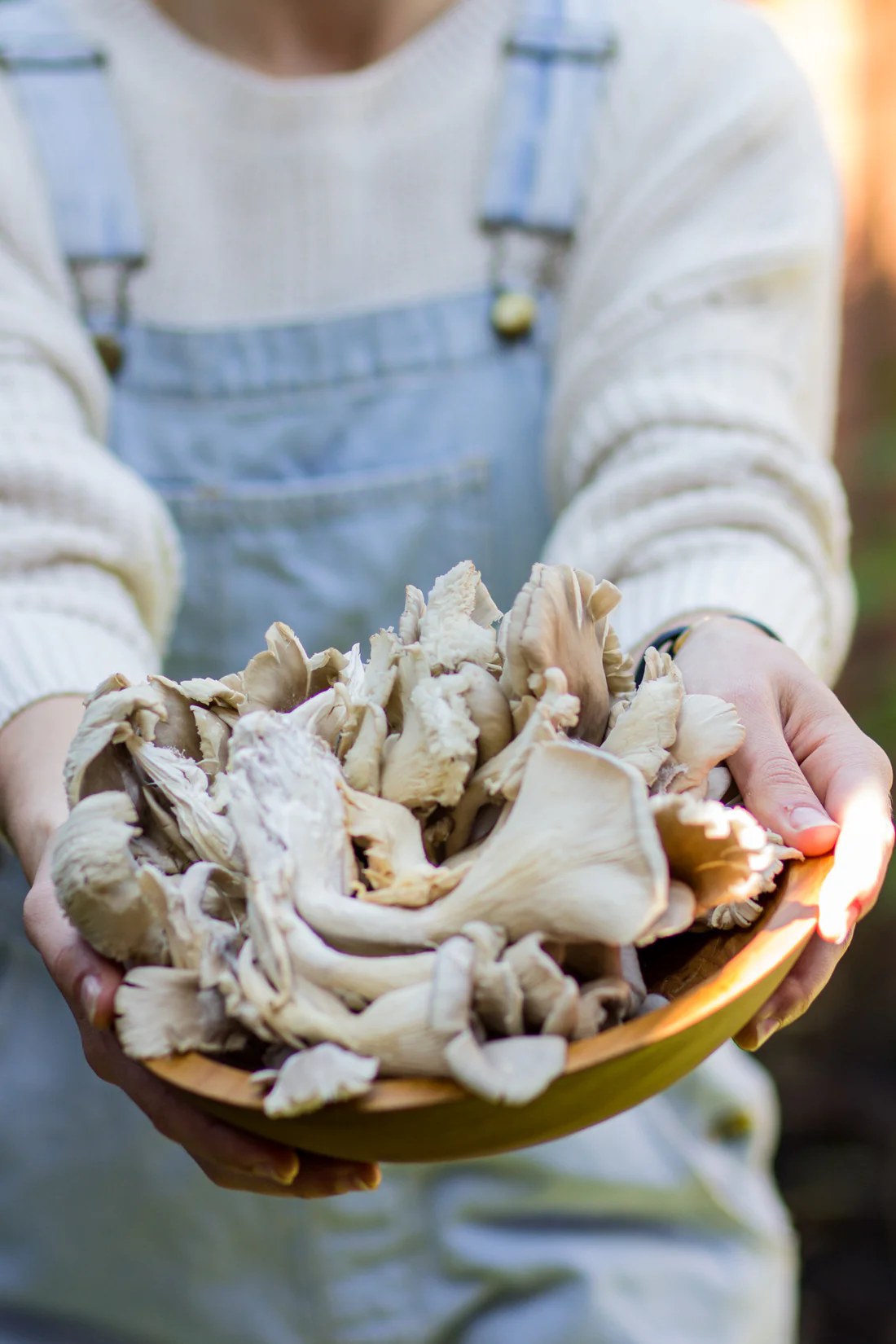 Fresh Waha & Wild oyster mushrooms
